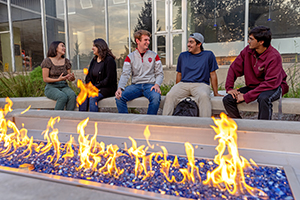 A group of students sit around a fireplace.