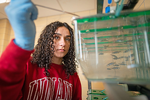 A student stares at fish in a tank.