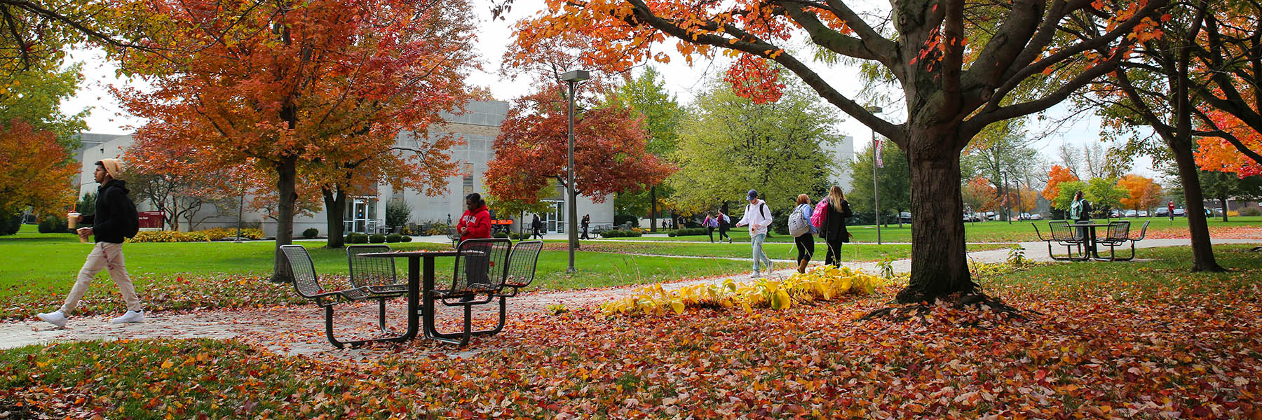 The Office of Counseling Services - Indiana University Northwest