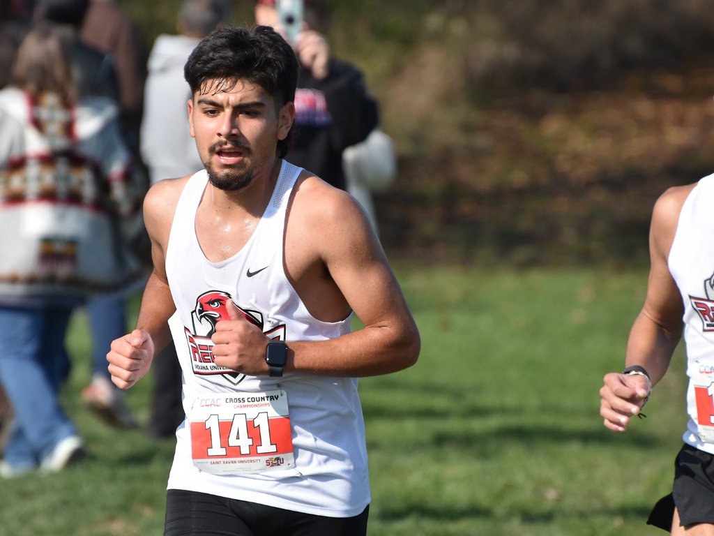 A male cross-country runner running.